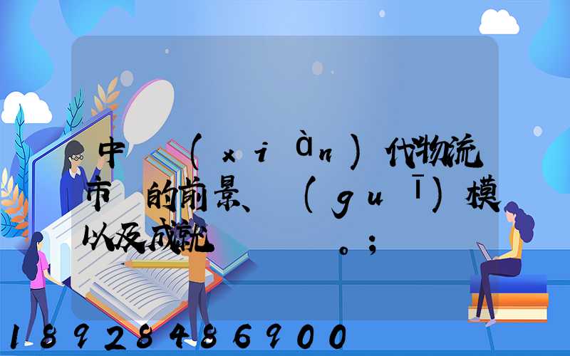中國現(xiàn)代物流市場的前景、規(guī)模以及成就。